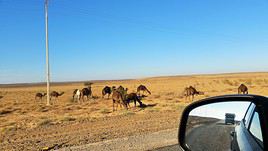 Route vers la Mauritanie, Maroc