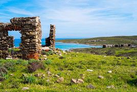 Asinara, Italie