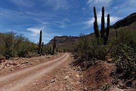 Sierra de San Francisco, Mexique