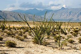 Cuatro Ci&eacute;negas, Mexique