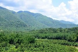 Sanctuaires de faune de Thung Yai et Huai Kha Khaeng, Tha&iuml;lande