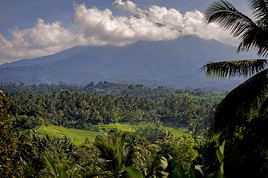 Mont Batukau, Indon&eacute;sie