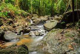 Khao Phra Thaeo Wildlife Sanctuary, Tha&iuml;lande
