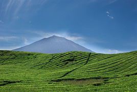 Parc national de Kerinci Seblat, Indon&eacute;sie