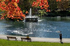 Parc La Fontaine, Montr&eacute;al, Qu&eacute;bec, Canada