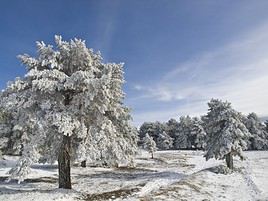 Valdelinares, Espagne