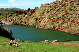 Parc naturel de Cabarceno, Espagne
