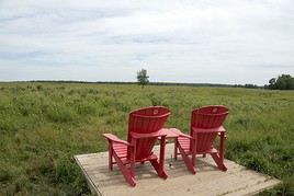 Parc national Elk Island, Alberta, Canada