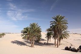 Douz, Tunisie