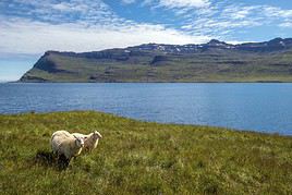 Mjoifjordur, Islande