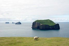 Îles Vestmann, Islande