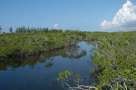 Parc national Lucayan, Bahamas