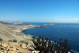 Parc national Pan de Azucar, Chili