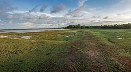 Ilha de Marajo, Brésil