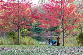 Parc Angrignon, Montr&eacute;al, Qu&eacute;bec, Canada