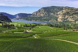 Vall&eacute;e de l'Okanagan, Colombie-Britannique, Canada