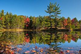 Lacs Kawartha, Ontario, Canada
