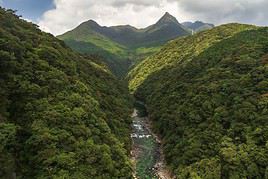 Île de Yakushima, Japon