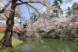 Hirosaki, Japon