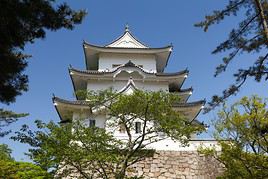 The original Ninja castle, Iga, Japon