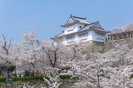 Tsuyama castle, Tsuyama, Japon