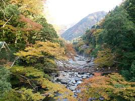 Vallée d'Iya, Japon