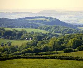 Forest of Dean, Grande Bretagne