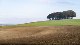 The Downs, Grande Bretagne