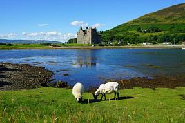 Île d'Arran, Grande Bretagne