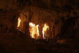 Parc national de Naracoorte Caves, Australie-M&eacute;ridionale, Australie