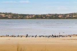 Parc national de Coorong, Australie-M&eacute;ridionale, Australie