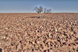 R&eacute;serve r&eacute;gionale d'Innamincka, Australie-M&eacute;ridionale, Australie