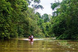 Kinabatangan, Malaisie