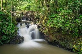 Parc national de Tawau Hills, Malaisie