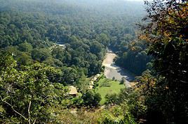 Vall&eacute;e de Danum, Malaisie