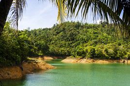Parc national de Batang Ai, Malaisie