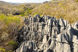 Parc national d'Ankarafantsika, Madagascar