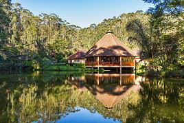 Parc national d'Andasibe-Mantadia, Madagascar