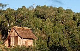 Parc national de Mananara Nord, Madagascar