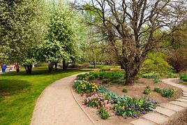 Jardin botanique, Prague, R&eacute;publique Tch&egrave;que