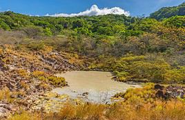 Zone de conservation de Guanacaste, Costa Rica