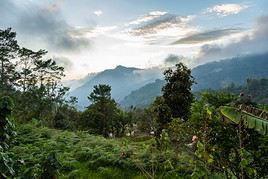 Parc national Chirripo, Costa Rica