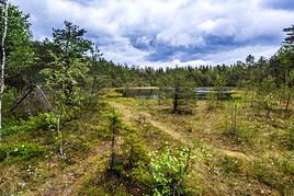 Parc national de Zemaitija, Lituanie