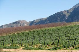Tulbagh, Afrique du Sud