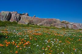 Parc national West Coast, Afrique du Sud