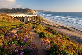 R&eacute;serve des pins de Torrey, San Diego, Californie, &Eacute;tats-Unis