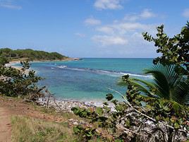 Grand Cul-de-sac marin, Guadeloupe