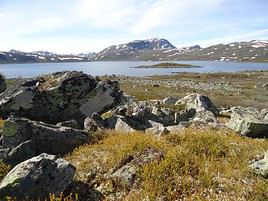 Hemsedal, Norv&egrave;ge