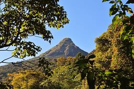 Adam's Peak, Sri Lanka