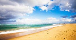 Elephant Coast, Afrique du Sud